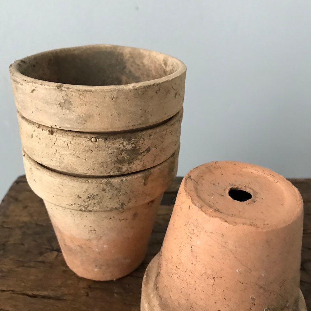 Four Seedling Pots
