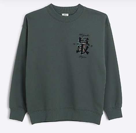 Boys khaki dragon graphic sweatshirt