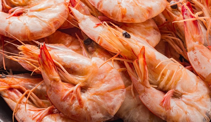 20 Liter Crayfish