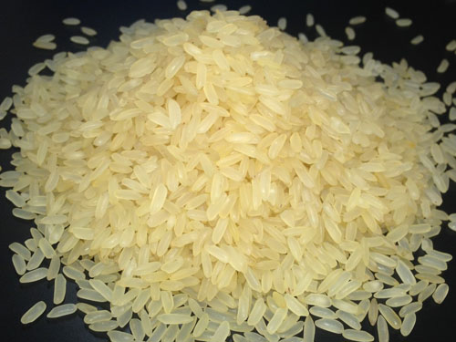 Caprice Rice